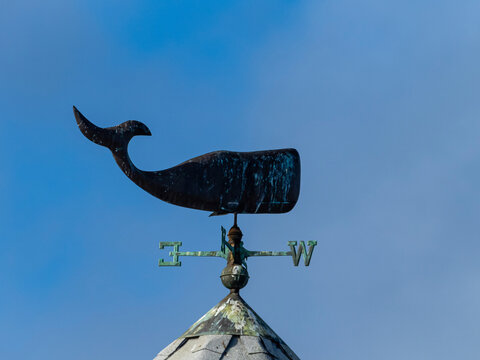 Sperm Whale weather vane on the dock in Monterey Harbor, California