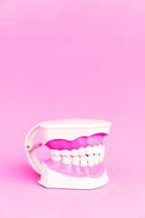 Dentistry concept. Dental care tools. Dentists use plastic toy white model of human teeth without one tooth isolated on Pink, gradient blur background. Vertical picture story instagram with copyspace.