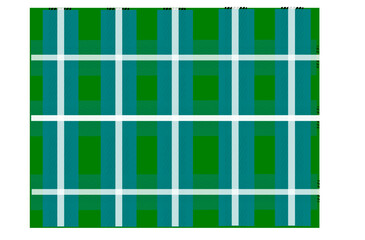 green and white checkered pattern.