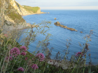 beautifull landscape,sunset,sea,sky and beach