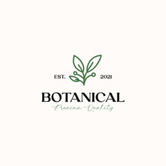 Botanical Leaf Monoline Logo Template Isolated in White Background