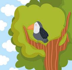 toucan on branch tree