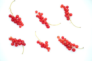Red ripe currant on a white background