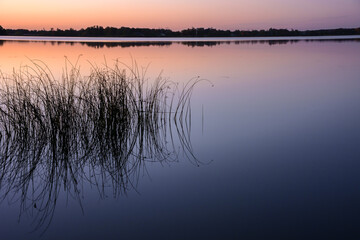 Sunset lake with reeds in rural Minnesota, USA North Turtle Lake
