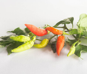 hot chili peppers.