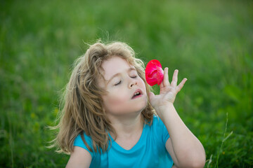 Kids smelling flowers, close up head of cute child in summer nature park.