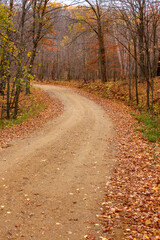 Fototapeta premium Autumn trees with winding dirt road going through Maplewood State Park in Minnesota, USA. 