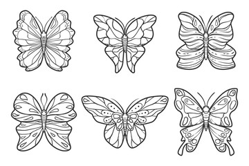 Butterfly Outline With Drawn Details Collection_4