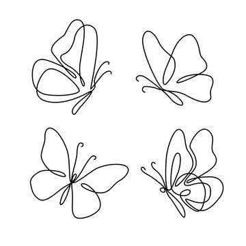 Butterfly Outline With Drawn Details Collection_5