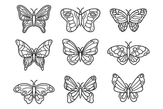 Butterfly Outline With Linear Flat Details Collection_2