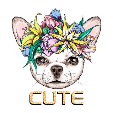 Cute chihuahua dog in floral wreath. Vector illustration in hand-drawn style. Image for printing on any surface	