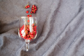 Red currant in the wineglass on the gray cloth background. Large group.