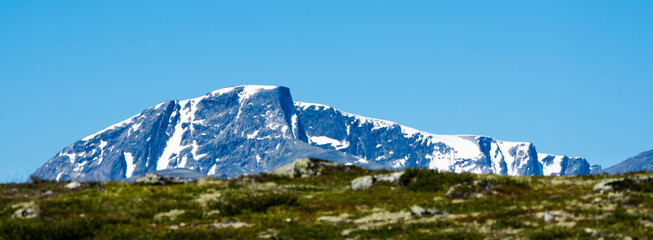 View over Sn&oslash;hetta on Dovrefjell. 