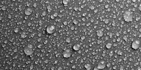 Black And White Bubbles Stock Image