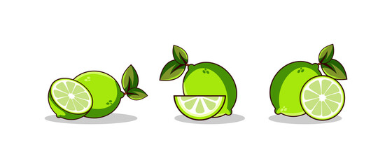 lime set fruit illustration vector design