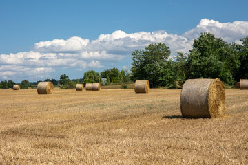 hay bales in a field sunny summer day