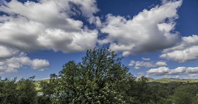 Timelapse of clouds over the forest in the mounten