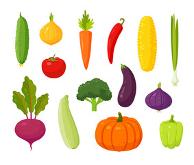 Vector harvest of cartoon vegetables flat illustration isolated from white.  Set of vegetables for cooking a culinary dish. Kitchen-garden healthy organic food