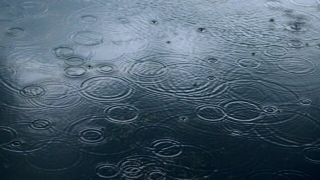 rain drop on the floor.