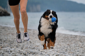 Active games and sports with large dog on vacation on warm summer morning. Woman in sneakers and...