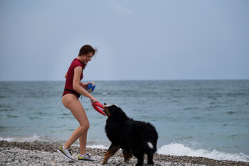 Walking with large dog on warm summer morning. Caucasian pretty red haired woman in sneakers and Bernese mountain dog with red toy ring in mouth are actively playing on pebble beach.
