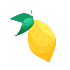Yellow lemon on white background
