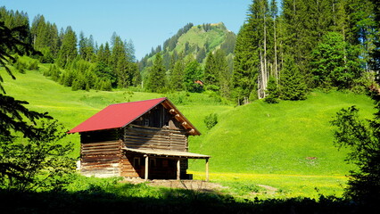  idyllische alte Hütte am Wanderweg Bärgunttal im Kleinwalsertal unter blauem Himmel