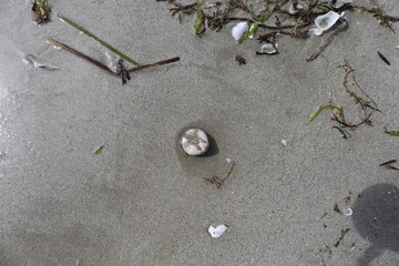 Beach landscape, Saint-Nic, Brittany, France, June 2021