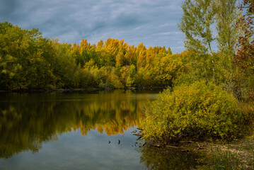 Autumn landscape - forest lake. Lake with shores overgrown with trees with yellow autumn leaves, which are reflected in the water along with the sky with clouds