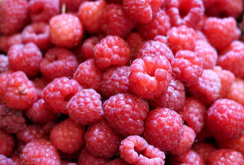 raspberry background