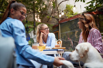 group of three young adult beautiful female friends sitting in outdoor cafe with a pet dog, talking, smiling, laughing