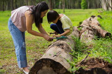 Asian Mom showing to her son something on her phone or to searching and leaning about nature.