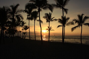Obraz na płótnie Canvas ハワイ島（ビッグアイランド）。夕暮れの浜辺。ヤシの木の向こうで海に沈む夕日 