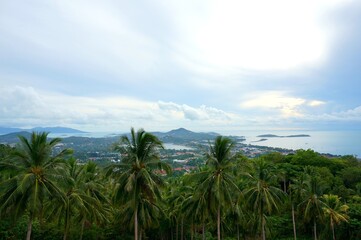 Fototapeta na wymiar Pattaya Panoramic View