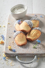 Traditionally Madeleine cookies baked in fluted tin. Classic French cuisine.