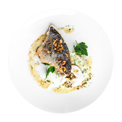 Isolated plate of gourmet grilled fish fillet on white background