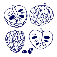 Set of tropical fruit icons in lines. Exotic Cherimoya. Vector doodle illustration for decor, design, web