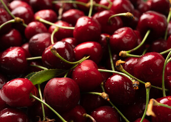 Sweet cherry macro photography close up