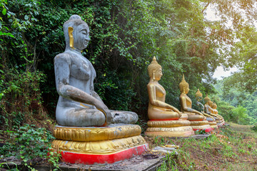 Many Buddha statues meditate in the forest peacefully at Wat Kham Sarika in Chanthaburi, Thailand