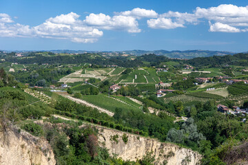 Fototapeta na wymiar vineyards in Roero Piedmont Italy summer day