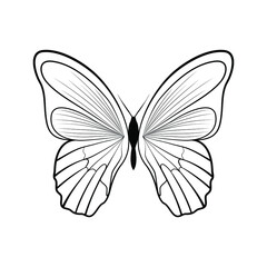 butterfly vector logo design template, hand-drawn designs of abstract butterfly, minimal design logo design template in black and white color.