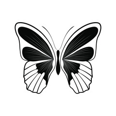 abstract butterfly vector template design.butterfly vector in black and white color. logo template, minimal, vector, simplified object- illustration