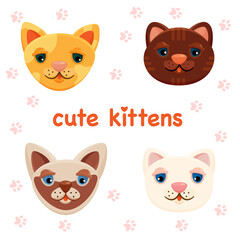 a set of cute cat faces. four breeds of cats