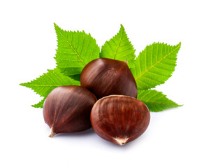 Horse chestnuts with leaves