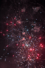 Fototapeta premium fireworks in the night sky