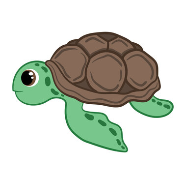 Illustration of cute cartoon turtle