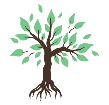 Vector image of a large tree with roots 