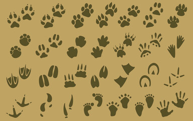 Collection of animal and human footprints.