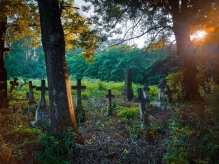 Religious place. Monuments of Christianity. Sunny morning in an old abandoned cemetery. Stone crosses, ruins and graves.