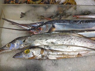 sea fish on ice in the market. Layur fish (Trichiurus lepturus), Barracuda fish (Sphyraena barracuda), Japanese mackerel (Scomberomorus niphonius)